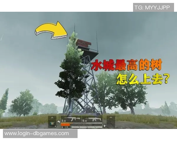 张娜揭秘和平精英成功背后的策略与团队协作秘诀 张娜揭秘和平精英成功背后的策略与团队协作秘诀